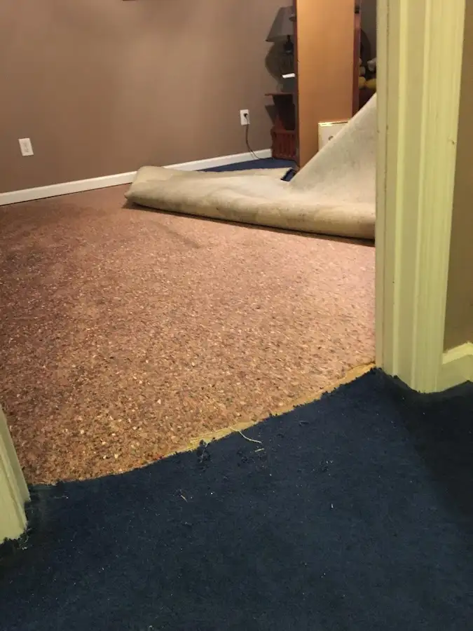 Carpet pad removal revealing water damage during Water Mitigation Services in Greenville